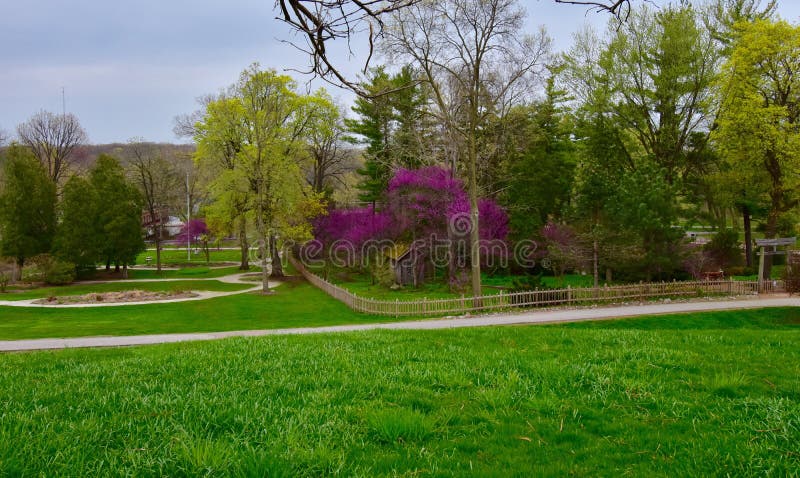 Recreational park with trees with beginning of flowering in Illinois. Recreational park with trees with beginning of flowering in Illinois