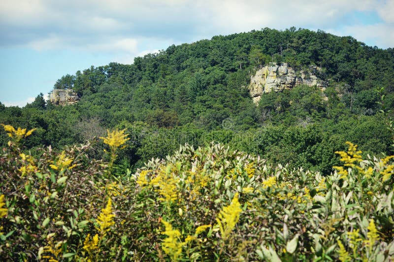 A beautiful landscape from Governor Dodge State Park in Dodgeville, Wisconsin with stone cliffs amongst the forested hills and yellow Goldenrod flowers blooming in front. A beautiful landscape from Governor Dodge State Park in Dodgeville, Wisconsin with stone cliffs amongst the forested hills and yellow Goldenrod flowers blooming in front.