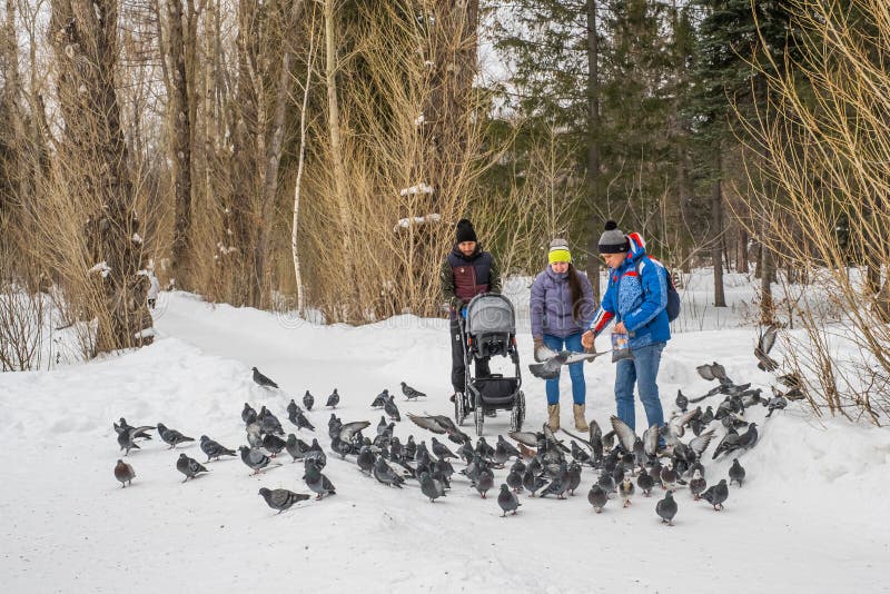 Yekaterinburg, Russia - February 12, 2020: 2 guys and a girl in jeans and jackets, with a baby stroller, feeds pigeons in the snowy alley of a city park in winter. Yekaterinburg, Russia - February 12, 2020: 2 guys and a girl in jeans and jackets, with a baby stroller, feeds pigeons in the snowy alley of a city park in winter