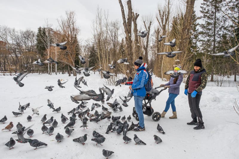 Yekaterinburg, Russia - February 12, 2020: 2 guys and a girl in jeans and jackets, with a baby stroller, feeds pigeons in the snowy alley of a city park in winter. Yekaterinburg, Russia - February 12, 2020: 2 guys and a girl in jeans and jackets, with a baby stroller, feeds pigeons in the snowy alley of a city park in winter