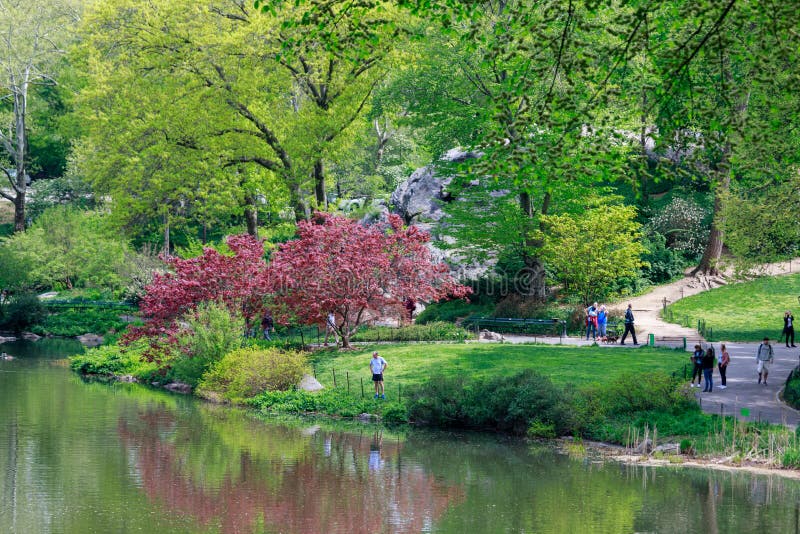 Пейзаж Central Park на весне в NYC стоковое изображение Пейзаж Central Park на весне в NYC стоковое изображение