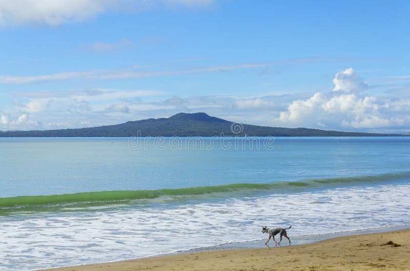 Пейзаж ландшафта пляжа Окленда Новой Зеландии Milford; Взгляд к острову Rangitoto во время солнечного дня стоковые фото Пейзаж ландшафта пляжа Окленда Новой Зеландии Milford; Взгляд к острову Rangitoto во время солнечного дня стоковые фото