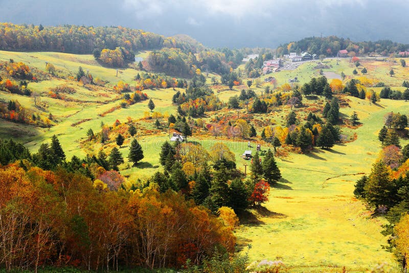 Пейзаж осени красочных лесов в долине в Shiga Kogen стоковые фото Пейзаж осени красочных лесов в долине в Shiga Kogen стоковые фото
