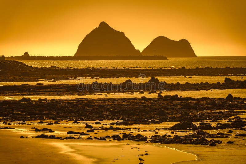 пейзаж побережья на северном острове новая зеландия