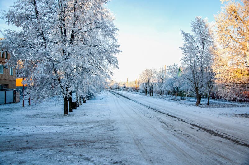 пейзаж с белым снегом и голубым небом. зимнее утро пышные деревья под теплым солнечным светом. замечательная зимняя природа стоковые изображения rf