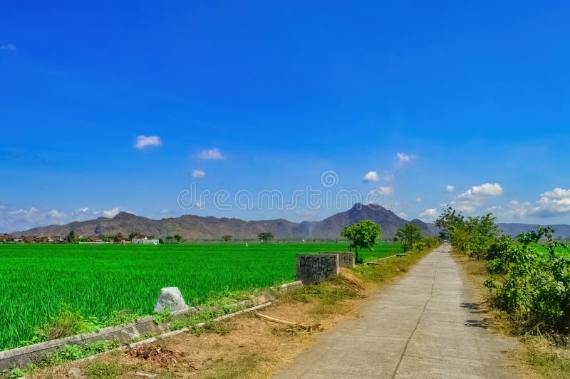 landscape of natural village views in Indonesia with concrete roads, irrigation canals, rice fields and mountains that look beautiful like a painting, Indonesia, 2 October 2023. landscape of natural village views in Indonesia with concrete roads, irrigation canals, rice fields and mountains that look beautiful like a painting, Indonesia, 2 October 2023.