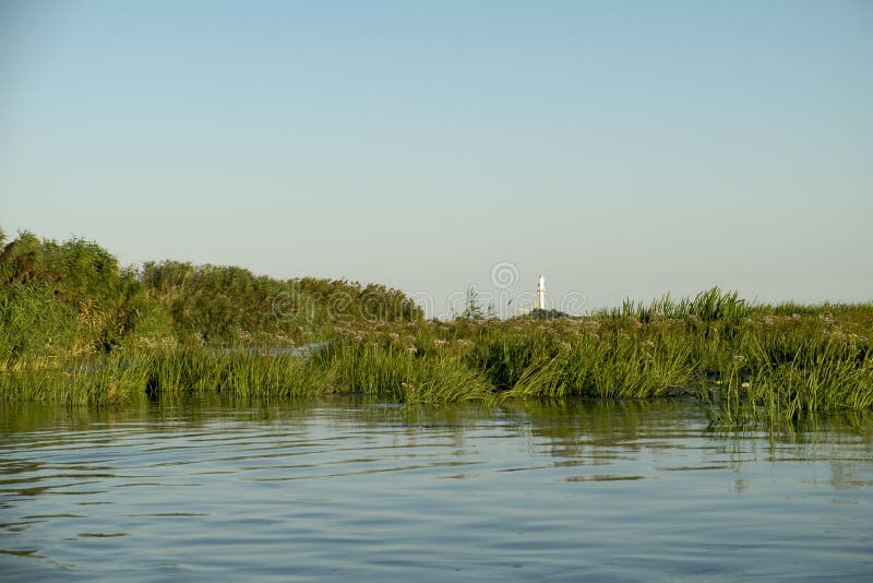 Пейзаж с пышной растительностью тростника птиц watershed и маяком sulina в дельте Реки дунай, в летнее время Румынии стоковые фото