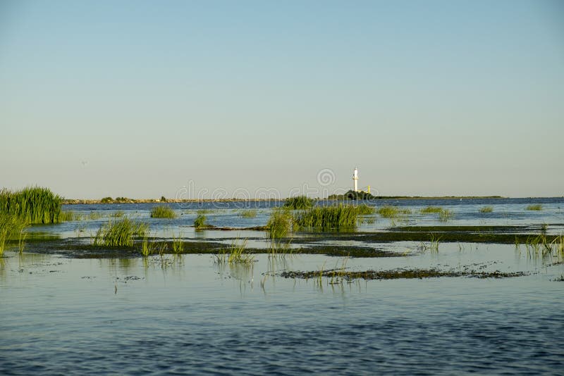 Пейзаж с пышной растительностью тростника птиц watershed и маяком sulina в дельте Реки дунай, в летнее время Румынии стоковое фото rf