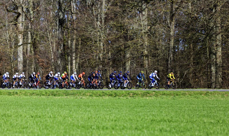 Les Mesnuls, France - March 03, 2024: The peloton riding in a field during the first stage of Paris-Nice 2024. Les Mesnuls, France - March 03, 2024: The peloton riding in a field during the first stage of Paris-Nice 2024