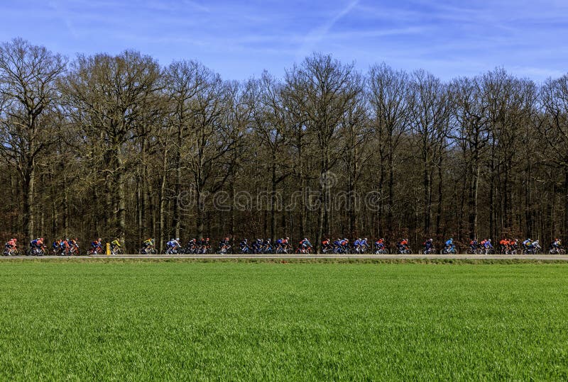 Les Mesnuls, France - March 03, 2024: The peloton riding in a field during the first stage of Paris-Nice 2024. Les Mesnuls, France - March 03, 2024: The peloton riding in a field during the first stage of Paris-Nice 2024