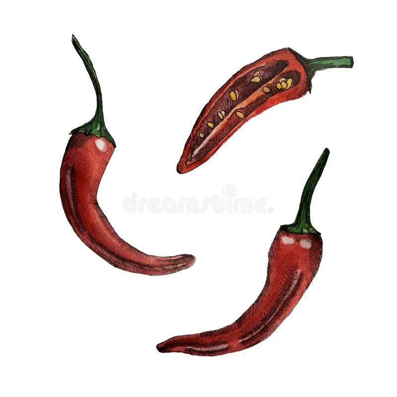 Перец горячего chili акварели бесплатная иллюстрация Перец горячего chili акварели бесплатная иллюстрация