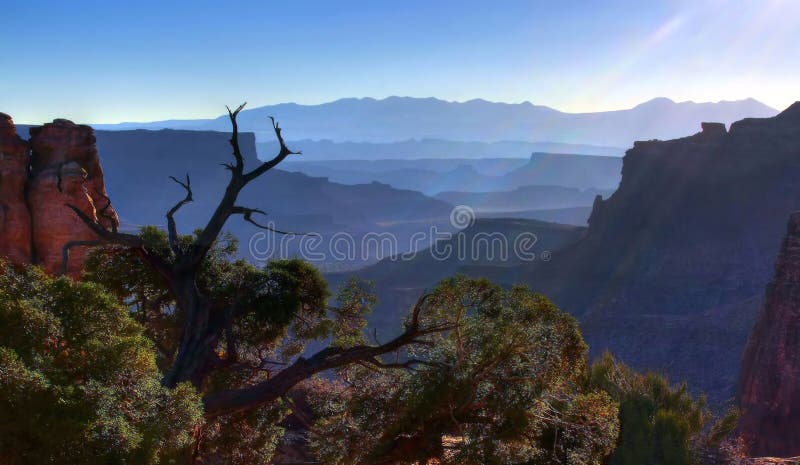Перспектива Canyonland раннего утра стоковое фото Перспектива Canyonland раннего утра стоковое фото