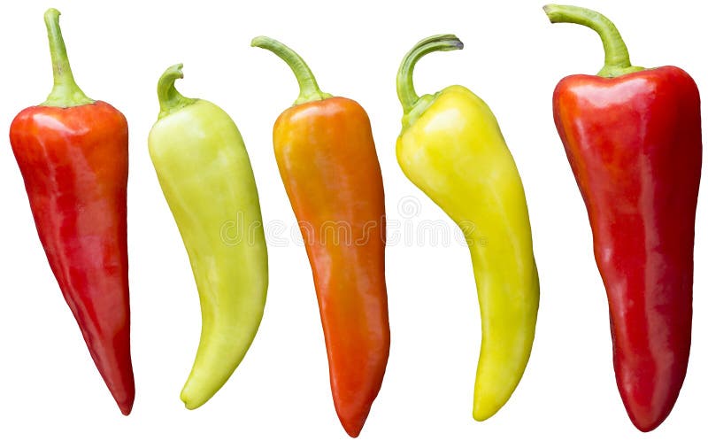 Five brightly colored banana chili peppers isolated against a white background. Five brightly colored banana chili peppers isolated against a white background.