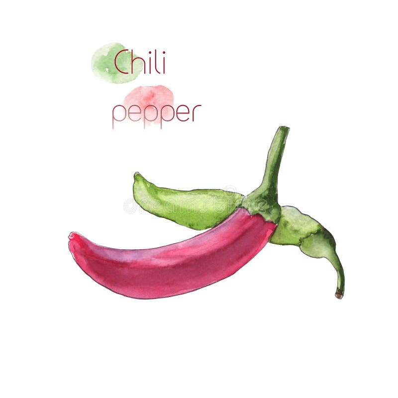 перцы chili зеленые красные иллюстрация вектора перцы chili зеленые красные иллюстрация вектора