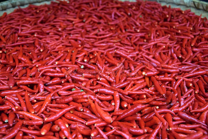 Перцы красного chili суша на плетеной корзине стоковое изображение Перцы красного chili суша на плетеной корзине стоковое изображение