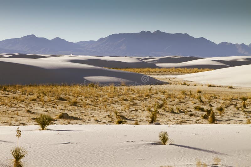 The White Sands National Monument in New Mexico, United States. The White Sands National Monument in New Mexico, United States