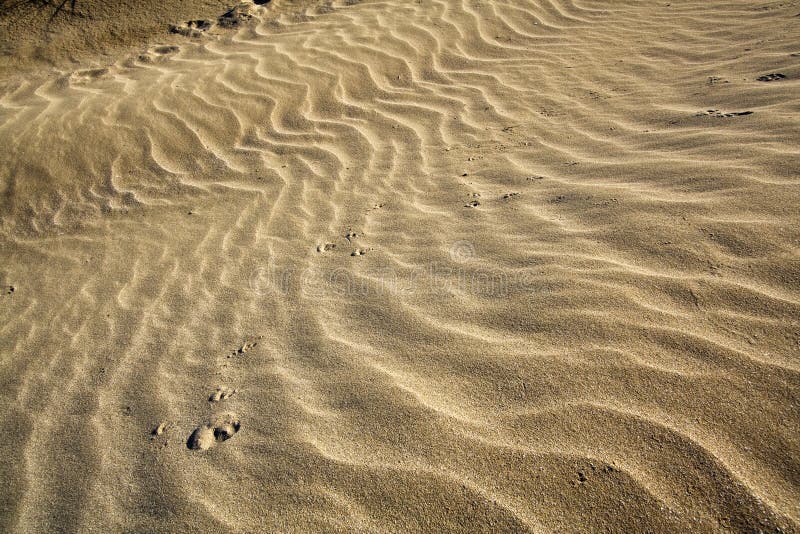 Sand's ripples in the sicilian beach with strong wind. Sand's ripples in the sicilian beach with strong wind