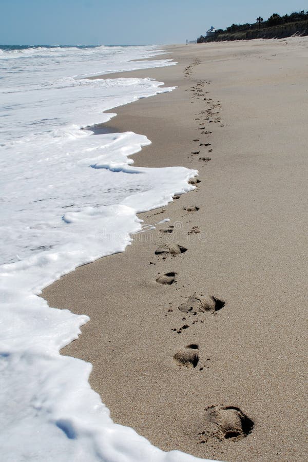 Footprints in sand on beach, that go on into the distance, with white foam and bubbles left behind from the waves. Trees and blue sky in the distance. Footprints in sand on beach, that go on into the distance, with white foam and bubbles left behind from the waves. Trees and blue sky in the distance.