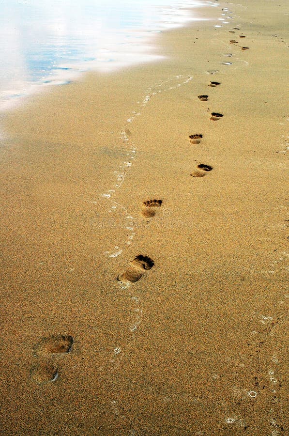 A lot of footprints on the sand - in Fuerteventura beach - Canary - Spain. A lot of footprints on the sand - in Fuerteventura beach - Canary - Spain