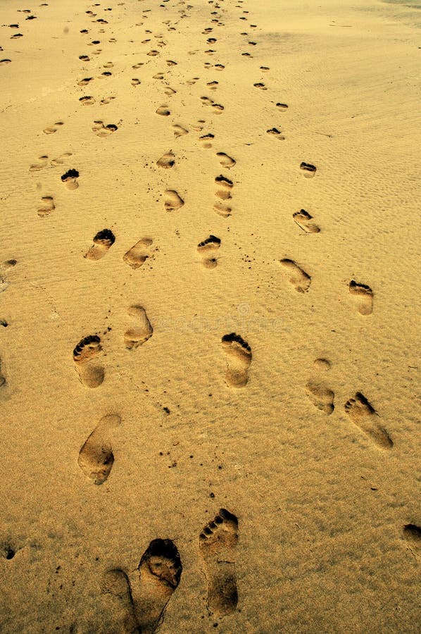 A lot of footprints on the gold sand - in Fuerteventura beach - Canary - Spain. A lot of footprints on the gold sand - in Fuerteventura beach - Canary - Spain