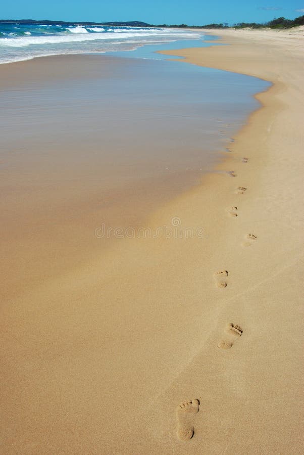 Footprints in the sand on the beach. Footprints in the sand on the beach.