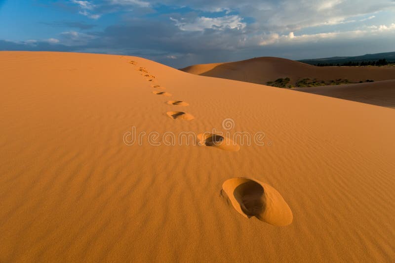 Footprints in Coral Pink Sand Dunes State Park near Zion, Utah. Footprints in Coral Pink Sand Dunes State Park near Zion, Utah