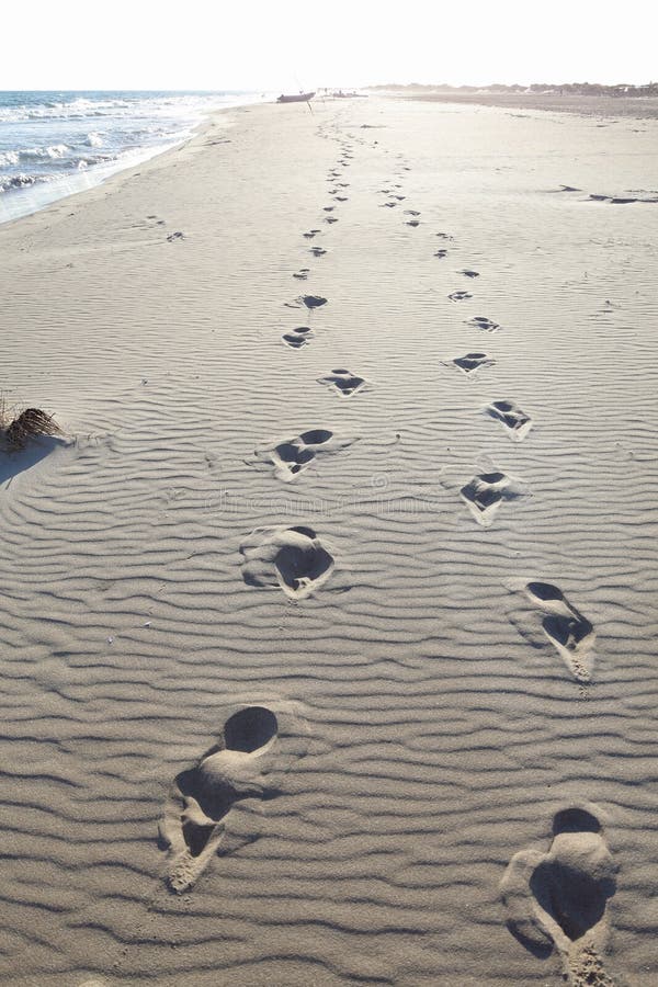 Two sets of footprints along the sand of a deserted seashore beach. Two sets of footprints along the sand of a deserted seashore beach.