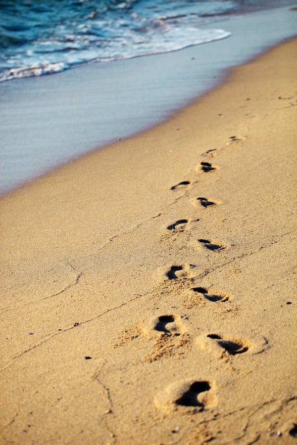 Footprints on sand beach on summer day. Footprints on sand beach on summer day