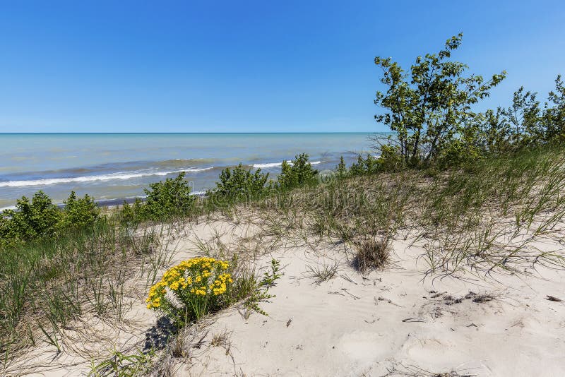 Песчанная дюна Ридж рассматривая вне Lake Huron - Pinery захолустный стоковое фото