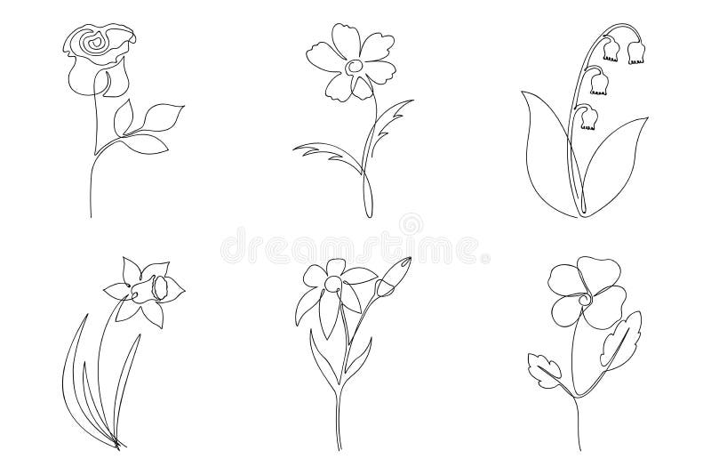 Continuous line flower set. One line drawing of different flowers. Hand-drawn minimalist illustration. stock illustration
