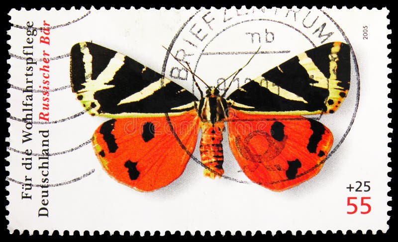 MOSCOW, RUSSIA - NOVEMBER 10, 2019: Postage stamp printed in Germany shows Jersey Tiger (Panaxia quadripunctaria), Welfare: Butterflies serie, circa 2005. MOSCOW, RUSSIA - NOVEMBER 10, 2019: Postage stamp printed in Germany shows Jersey Tiger (Panaxia quadripunctaria), Welfare: Butterflies serie, circa 2005