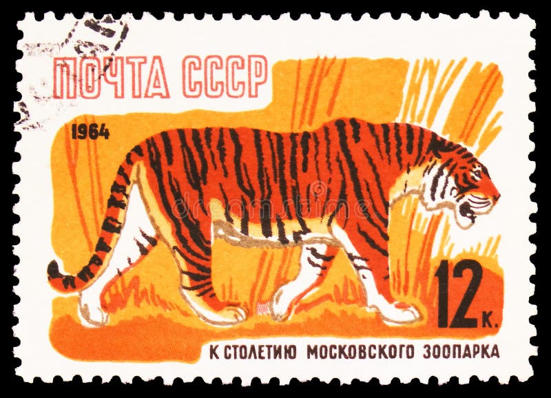 MOSCOW, RUSSIA - MARCH 22, 2020: Postage stamp printed in Soviet Union shows Bengal Tiger (Panthera tigris tigris), Moscow Zoo Centenary serie, circa 1964. MOSCOW, RUSSIA - MARCH 22, 2020: Postage stamp printed in Soviet Union shows Bengal Tiger (Panthera tigris tigris), Moscow Zoo Centenary serie, circa 1964