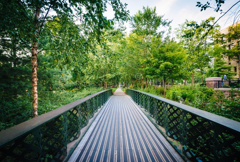 Pedestrian bridge at Yale University, in New Haven, Connecticut. Pedestrian bridge at Yale University, in New Haven, Connecticut.