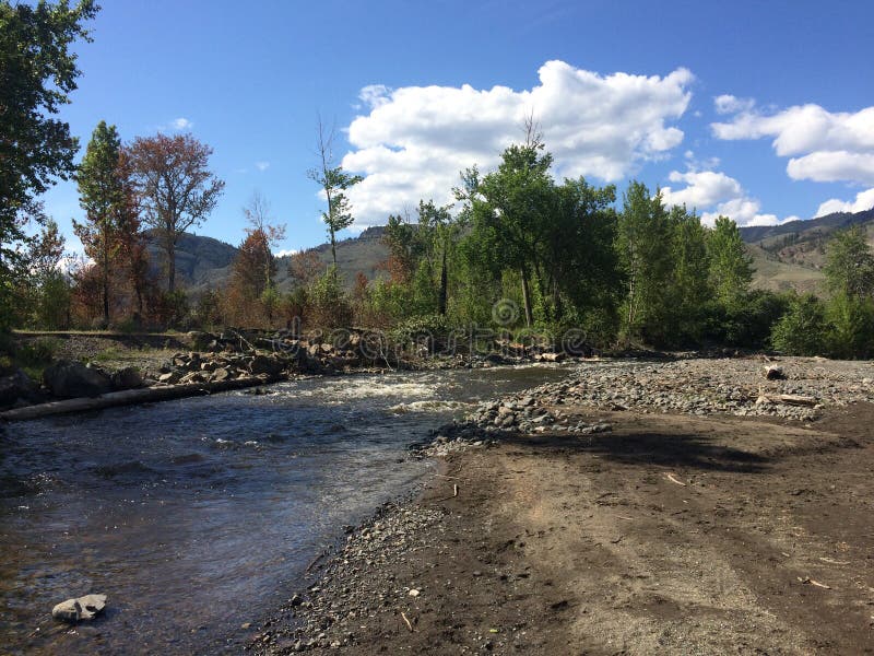 Пеший туризм около красивого потока Kamloops стоковая фотография Пеший туризм около красивого потока Kamloops стоковая фотография