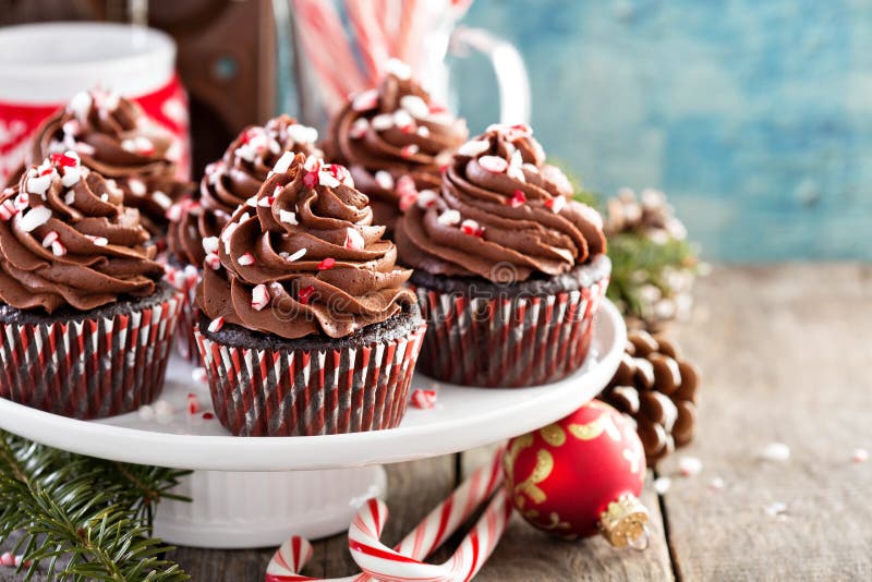 Chocolate peppermint cupcakes with candy cane crumbs. Chocolate peppermint cupcakes with candy cane crumbs