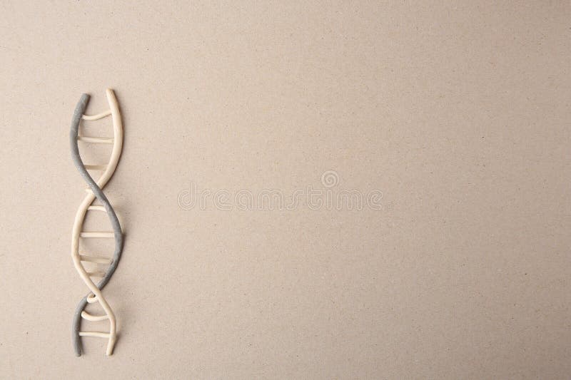 пластичная модель молекулярной цепи dna на бэйге. пробел для текста стоковая фотография rf