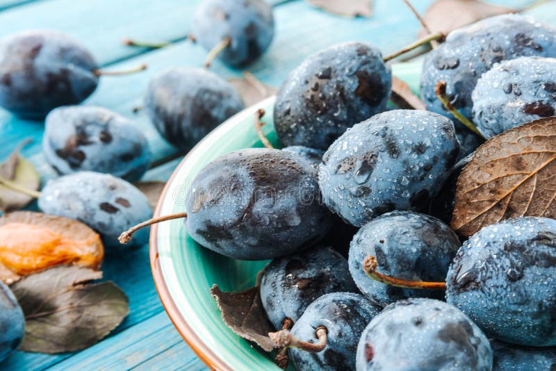 Плита свежих слив Damson стоковое изображение Плита свежих слив Damson стоковое изображение