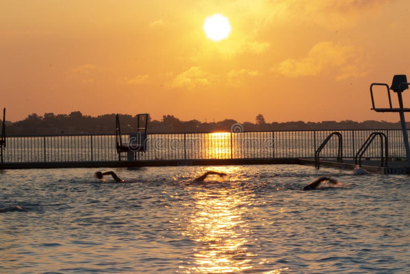 пловцы, плавающие в бассейне у залива на рассвете