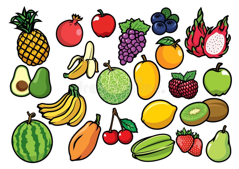 Vector of fruits set collection. Vector of fruits set collection