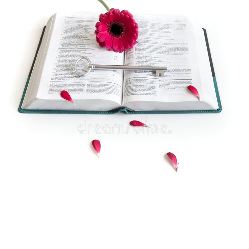 Плоское положение: открытый ключ библии, книги, серых/серебряных и пинк, пурпурные, violette, красный цветок Gerbera с лепестками стоковое фото rf Плоское положение: открытый ключ библии, книги, серых/серебряных и пинк, пурпурные, violette, красный цветок Gerbera с лепестками стоковое фото rf