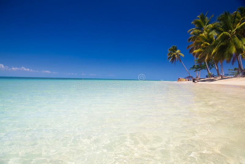 пляж caribbean стоковые изображения rf пляж caribbean стоковые изображения rf