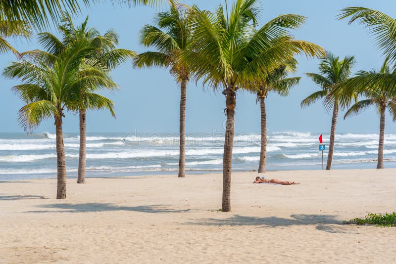 Пляж Da Nang с кокосовыми пальмами и женщиной стоковая фотография Пляж Da Nang с кокосовыми пальмами и женщиной стоковая фотография