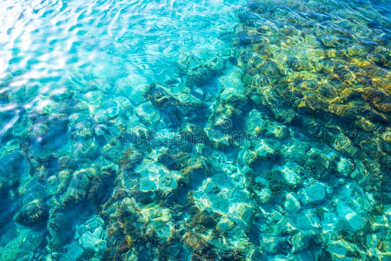 Пляж Ibiza Portinatx Arenal Gran в Balearics стоковые фотографии rf Пляж Ibiza Portinatx Arenal Gran в Balearics стоковые фотографии rf