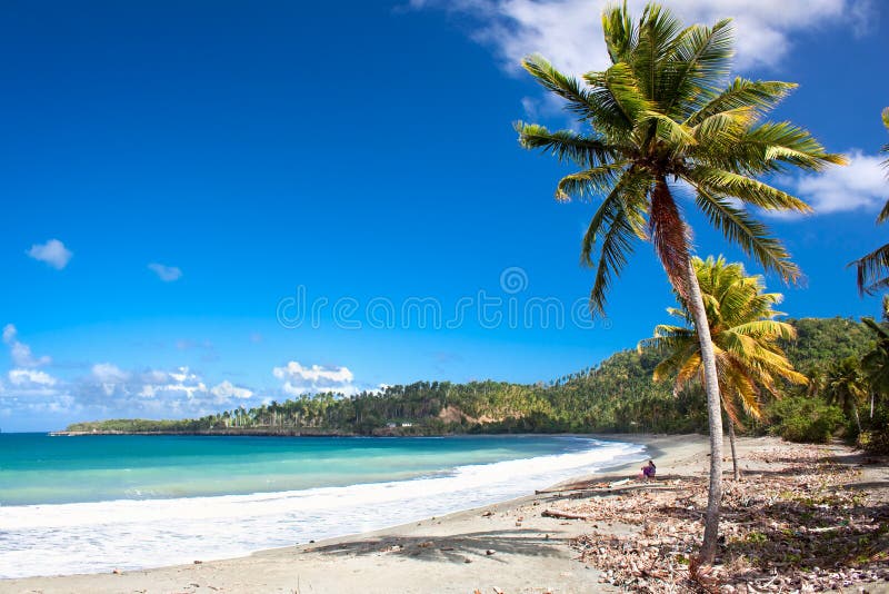 пляж красивейшая Куба baracoa тропическая стоковые изображения