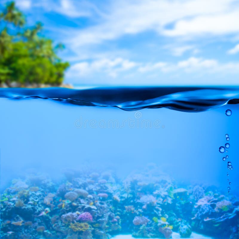 Подводная тропическая предпосылка поверхности морской воды стоковые фото Подводная тропическая предпосылка поверхности морской воды стоковые фото