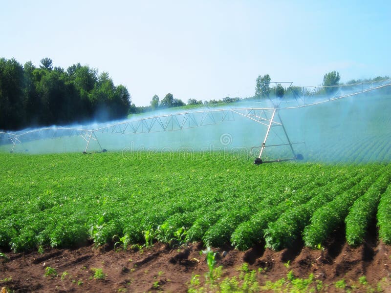 Modern irrigation system watering crops farmland farm field sprinkler system industrial. Modern irrigation system watering crops farmland farm field sprinkler system industrial