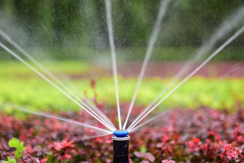 Gardeners use the sprinkler irrigation technology to water flowers and plants in the park. Gardeners use the sprinkler irrigation technology to water flowers and plants in the park