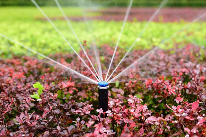 Gardeners use the sprinkler irrigation technology to water flowers and plants in the park. Gardeners use the sprinkler irrigation technology to water flowers and plants in the park