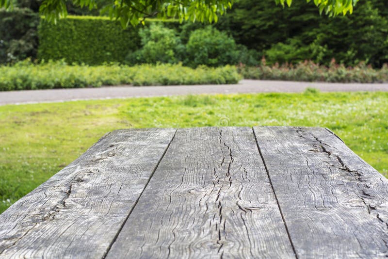 Surface of wooden table with cracks is in the green park. Surface of wooden table with cracks is in the green park