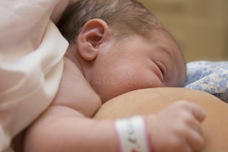 подавать младенца newborn стоковые фотографии rf подавать младенца newborn стоковые фотографии rf